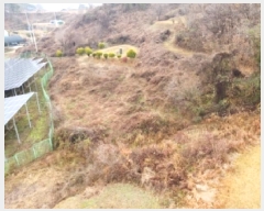  2025Ÿ��51619 ��� û�ֽ� ��籸 �̿��� ��ϸ� 300-2     ����(��1)���