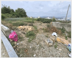  2025Ÿ��51716  �Ӿ߰��