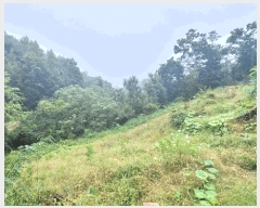  2025Ÿ��51784  ����