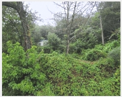  2025Ÿ��51784  ����