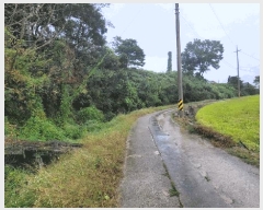  2025Ÿ��51784  ����