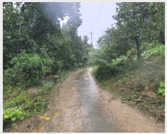  2025Ÿ��51784  ����