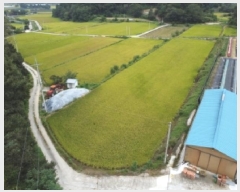  2025Ÿ��51784  ����