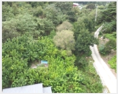  2025Ÿ��51784  ����