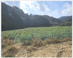  2025Ÿ��51794 ��� ���걺 �Ҽ��� �Ծϸ� 715      ����(��1)���