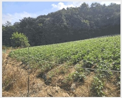  2025Ÿ��51794 ��� ���걺 �Ҽ��� �Ծϸ� 715      ����(��1)���