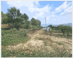  2025Ÿ��51794 ��� ���걺 �Ҽ��� �Ծϸ� 715      ����(��1)���