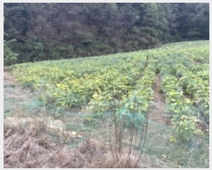  2025Ÿ��51794 ��� ���걺 �Ҽ��� �Ծϸ� 715      ����(��1)���