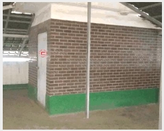  2025Ÿ��51836  ���ð��