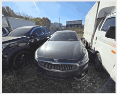  2025Ÿ��51841  �������