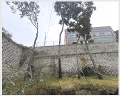  2025Ÿ��51865  ������