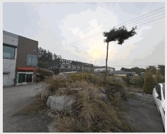  2025Ÿ��51865  ������