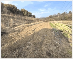  2025Ÿ��51919  �����