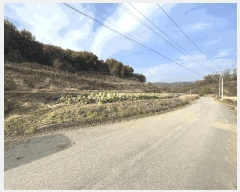  2025Ÿ��51919  �����