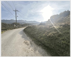  2025Ÿ��51919  �����