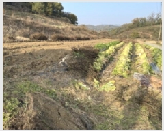  2025Ÿ��51919  �����