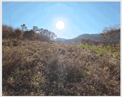  2025Ÿ��51967 ��� ���걺 ûõ�� ���� 142-1      ����(��1)���