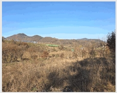  2025Ÿ��51967 ��� ���걺 ûõ�� ���� 142-1      ����(��1)���