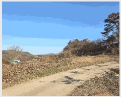  2025Ÿ��51967 ��� ���걺 ûõ�� ���� 142-1      ����(��1)���