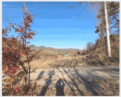  2025Ÿ��51967 ��� ���걺 ûõ�� ���� 142-1      ����(��1)���