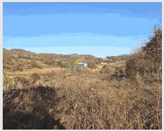  2025Ÿ��51967 ��� ���걺 ûõ�� ���� 142-1      ����(��1)���