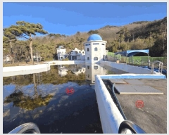  2025Ÿ��51993  �ٸ��ü����