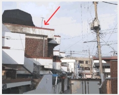  2025Ÿ��52005 ��� û�ֽ� û���� ������ 109-13      ���ð��