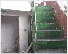  2025Ÿ��52005 ��� û�ֽ� û���� ������ 109-13      ���ð��