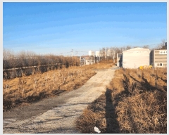  2025Ÿ��52135 ��� ��õ�� �̿��� �ſ��� 45-49      ����(��1)���