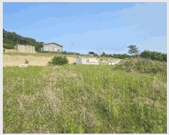  2025Ÿ��641 ��� û�ֽ� ��籸 ������ ��븮 229-1     ��,�繫�ǰ��