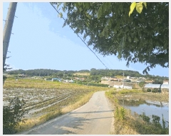  2025Ÿ��641 ��� û�ֽ� ��籸 ������ ��븮 229-1     ��,�繫�ǰ��