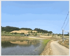  2025Ÿ��641 ��� û�ֽ� ��籸 ������ ��븮 229-1     ��,�繫�ǰ��