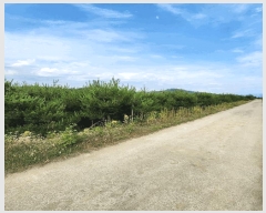  2025Ÿ733  õ  ϸ 669-134      (1)