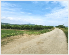  2025Ÿ733  õ  ϸ 669-134      (1)