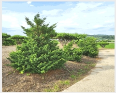  2025Ÿ733  õ  ϸ 669-134      (1)