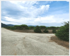  2025Ÿ733  õ  ϸ 669-134      (1)