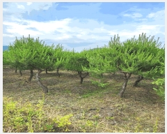  2025Ÿ733  õ  ϸ 669-134      (1)