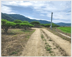  2025Ÿ733  õ  ϸ 669-134      (1)