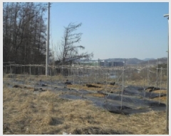  2025Ÿ1224  걺 ûȸ õ 1218-6      (1)