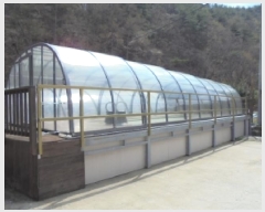  2025Ÿ��1736  ���ڽü����