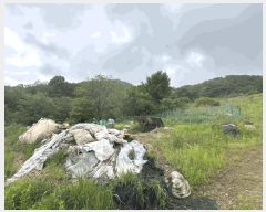  2025Ÿ2180  ûֽ 籸 Ǹ  39     ()