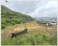  2025Ÿ2180  ûֽ 籸 Ǹ  39     ()