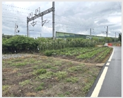  2025Ÿ��3435 ��� û�ֽ� ����� ���̵� 80-1      ����(��)���