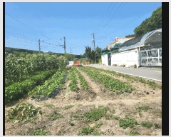  2025Ÿ��3435 ��� û�ֽ� ����� ���̵� 80-1      ����(��)���