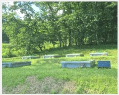  2025Ÿ��3664 ��� û�ֽ� ��籸 ��� ��47      ����(�Ӿ�)���