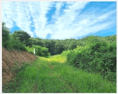  2025Ÿ��3664 ��� û�ֽ� ��籸 ��� ��47      ����(�Ӿ�)���