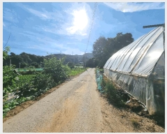  2025Ÿ��3664 ��� û�ֽ� ��籸 ��� ��47      ����(�Ӿ�)���