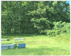  2025Ÿ��3664 ��� û�ֽ� ��籸 ��� ��47      ����(�Ӿ�)���