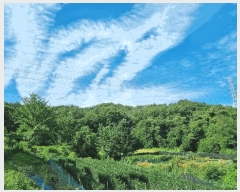  2025Ÿ��3664 ��� û�ֽ� ��籸 ��� ��47      ����(�Ӿ�)���