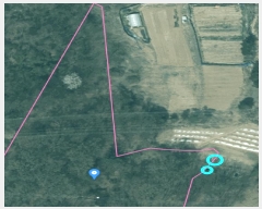  2025Ÿ��3664 ��� û�ֽ� ��籸 ��� ��47      ����(�Ӿ�)���